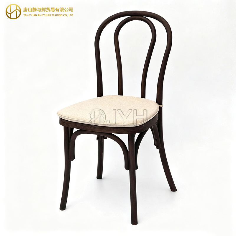 Classic Thonet Style Wood Look Resin Bentwood Chair